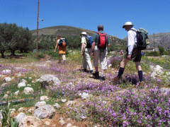 ...explore the Cretan countryside on foot...