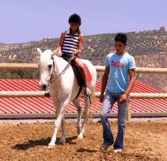 Go horseriding from Pendamodi's stables...