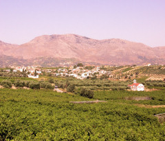 The village of Pendamodi